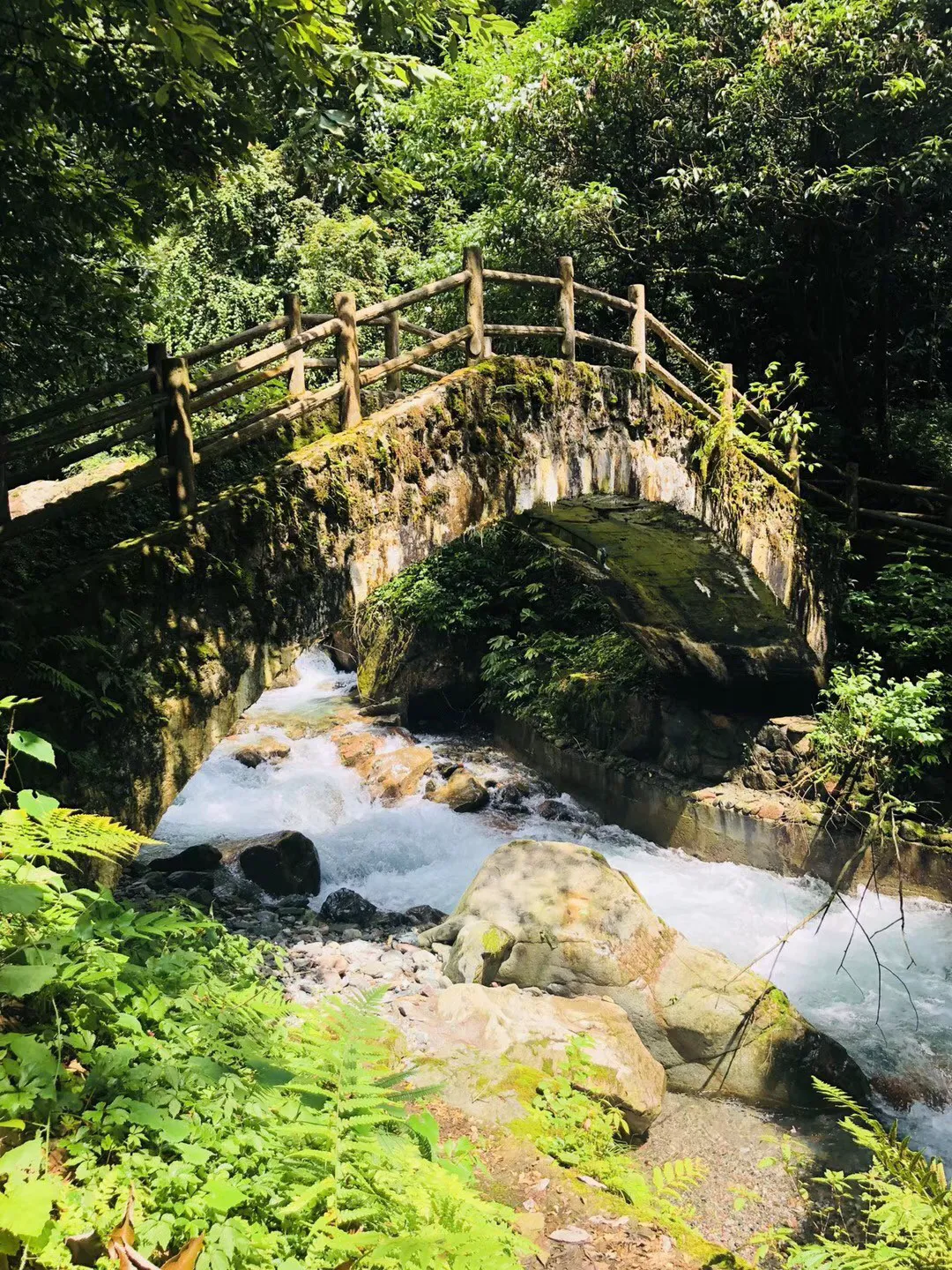 林永健：34岁与美女闪婚，两次失去儿子，如今54岁怎么样了？